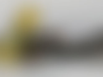 रोगने बलसान ( Roghan e balsan )