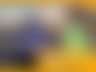 Internship at Port Norfolk and Nauticus