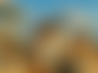 🚢 Port of Possibilities: A Professional Visit to Norfolk’s Half Moone Cruise & Celebration Center 🌊