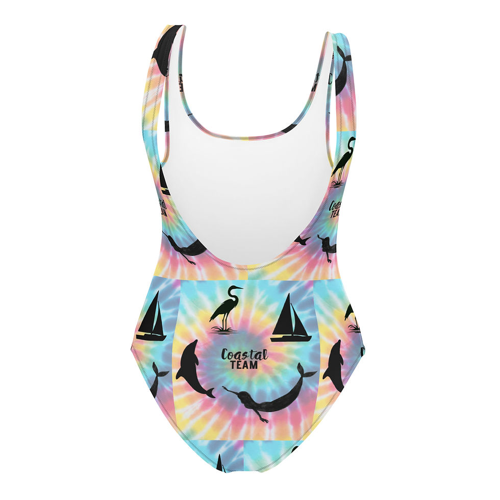 Thumbnail: Coastal Virginia Swimsuit