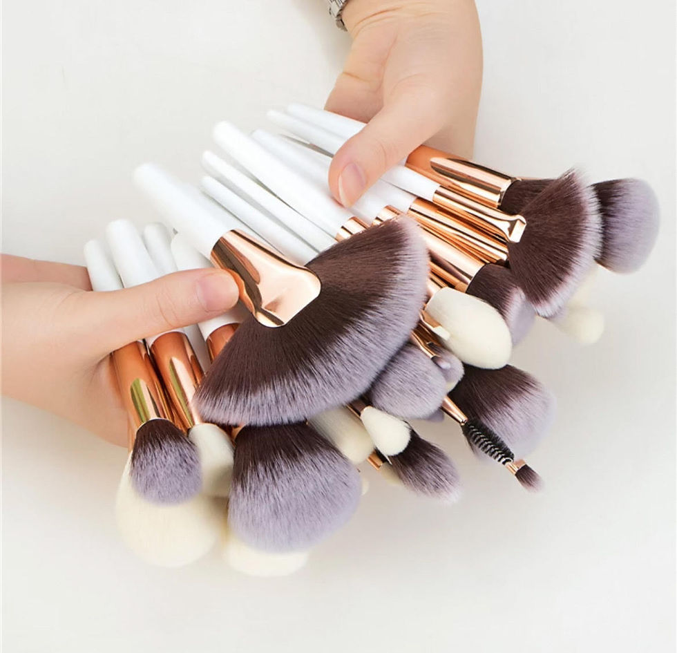 SBB 25-Piece Brush Set