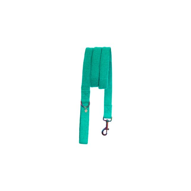 Sea Green Harris Tweed Dog Lead with Rainbow Hardware