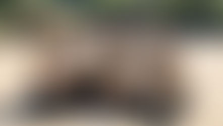 NowUs Annual Retreat 2025: A Transformative Journey of Empowerment