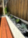 IMG_7894.jpeg