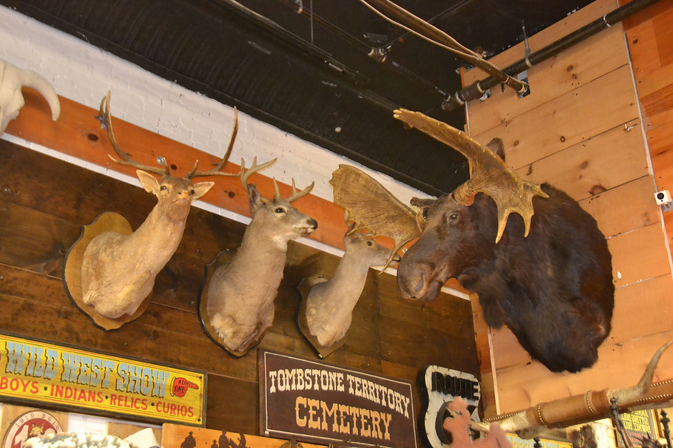 Thumbnail: Western Wear & Homestore - Western Spirit -