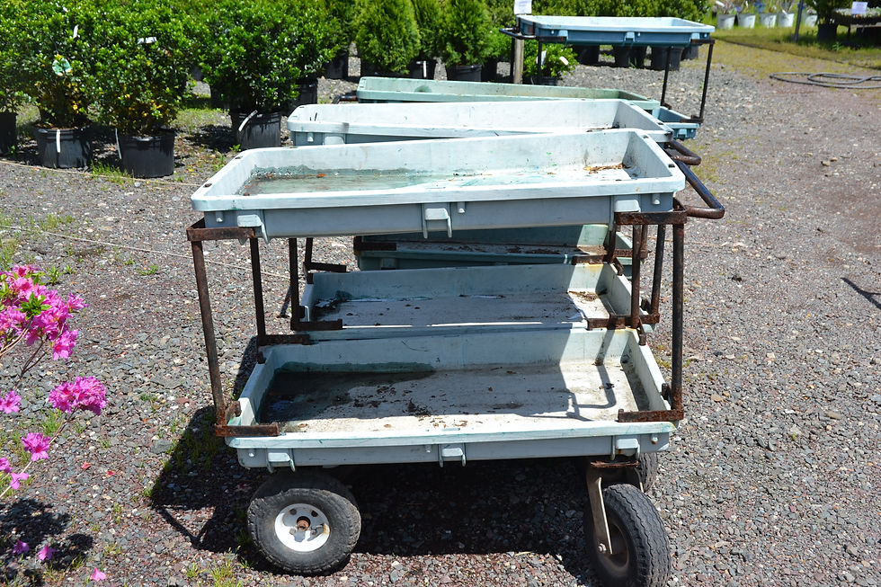Thumbnail: gardening equipment, garden equipment auction, garden auction, nj auctioneer, new jersey auctions