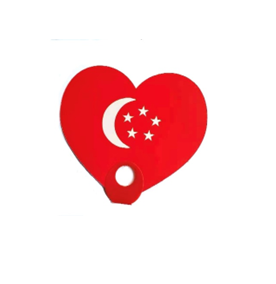 i love SG Fan
