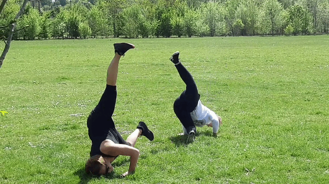 capoeira-tours.gif