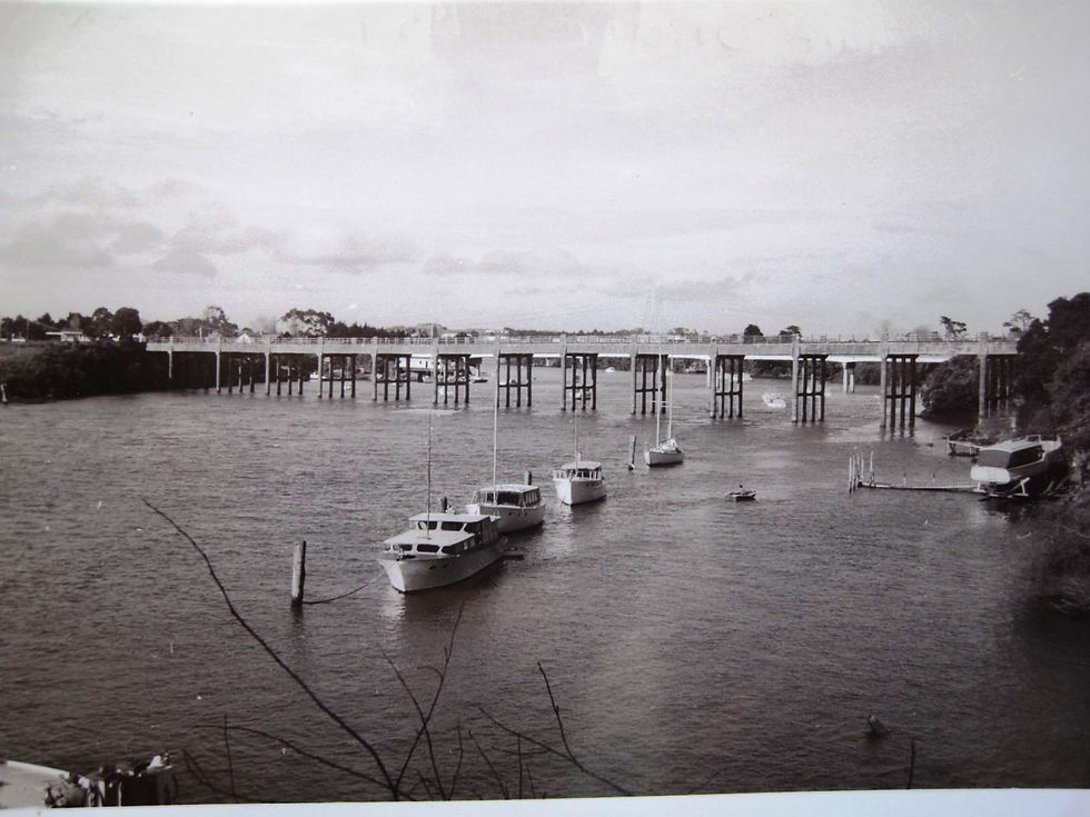 CARIBBEAN, SEAWAY ETC TAMAKI RIVER