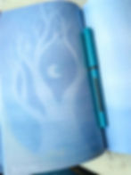 Thumbnail: Soul Trees Journal