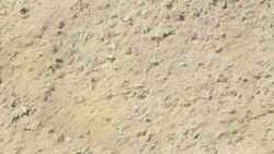 Floor Paint Rendering