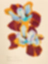 Black Joker Siberian Iris (2022)