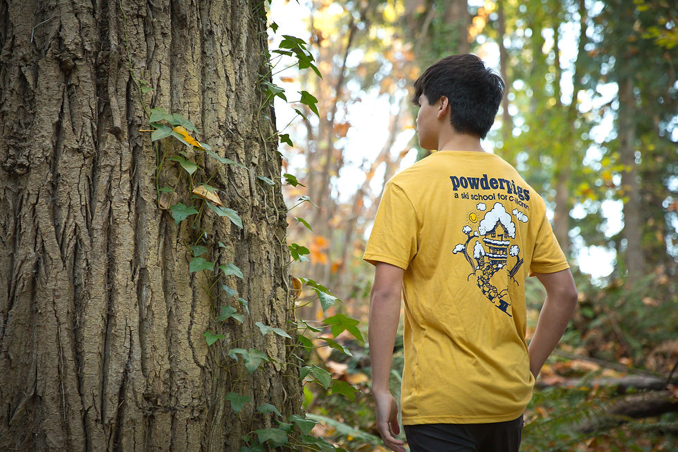 Thumbnail: Adult T-Shirt Yellow