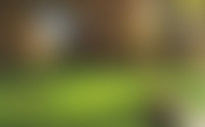 De nouveaux acteurs lancés dans la compensation carbone durable :