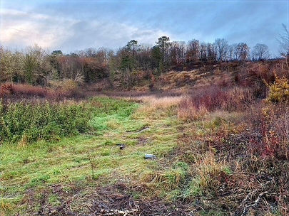 Un avenir prometteur pour la forêt de St Geyrac