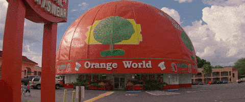giphy_florida (1).gif