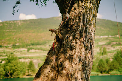 _DSC9506.jpg