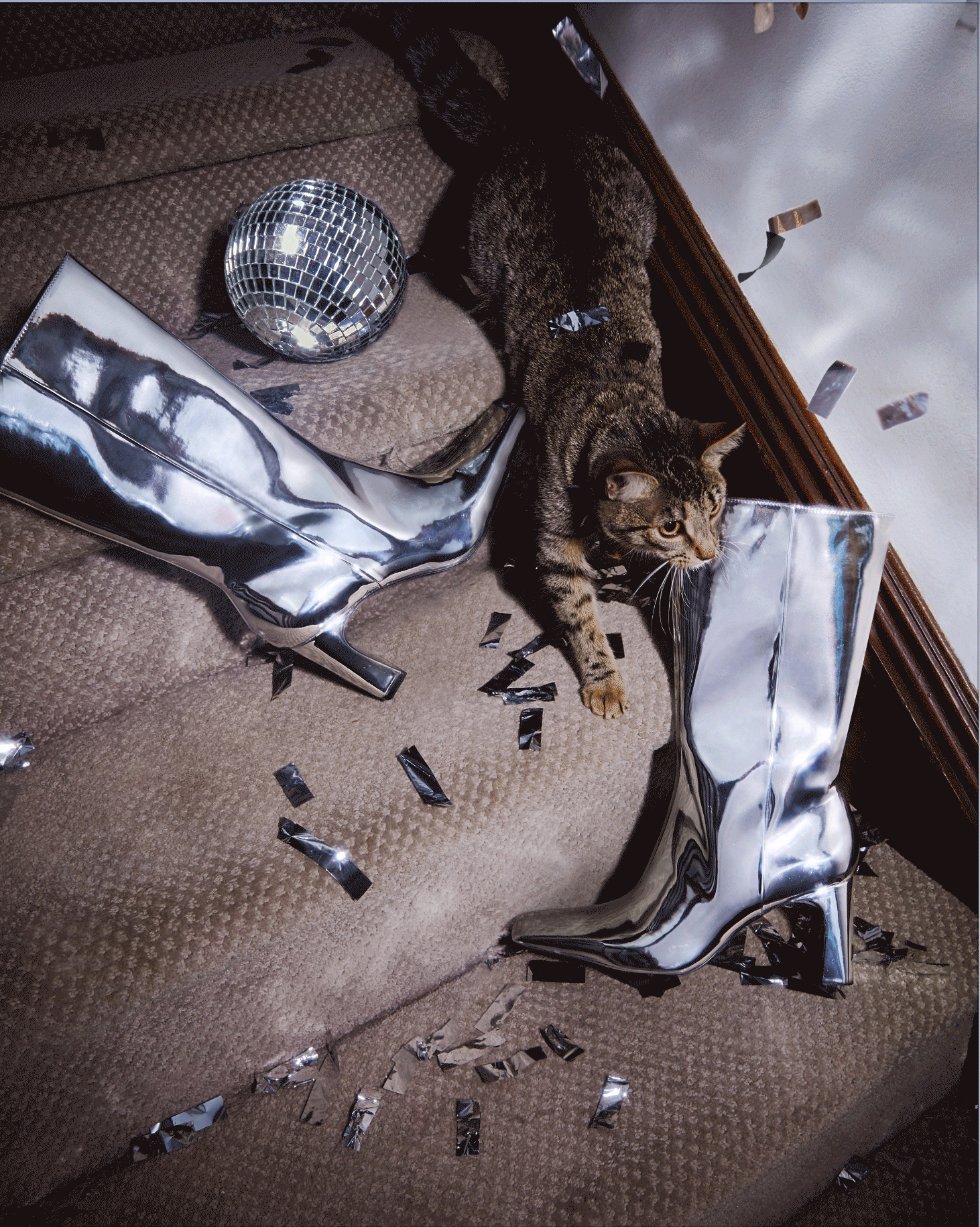 Shoes and handbags commercial 