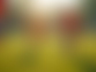 The Importance of Access to Sports for All Kids