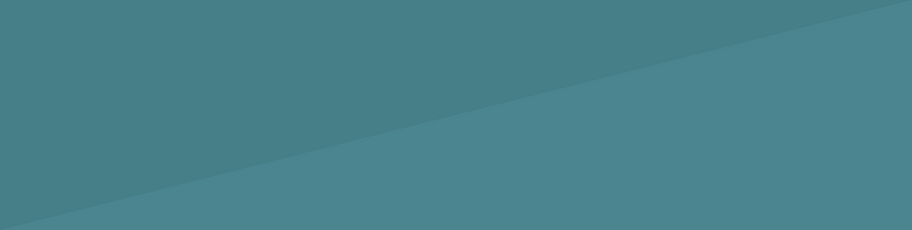 Website Title Strips (4).png