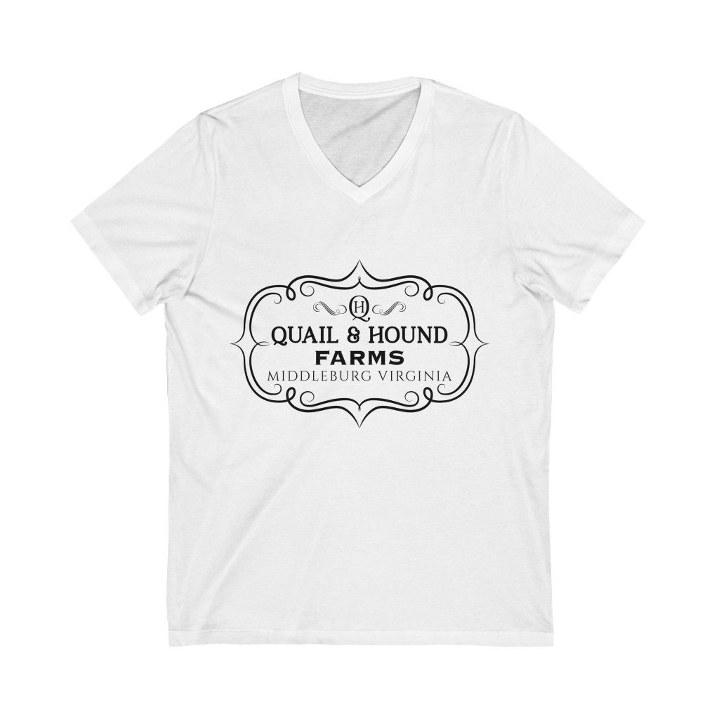 Q&H Unisex Jersey Short Sleeve V-Neck T-shirt