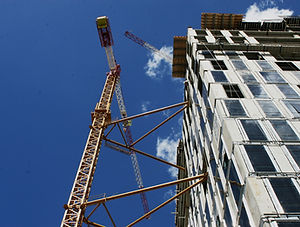 Crane Close Up 2