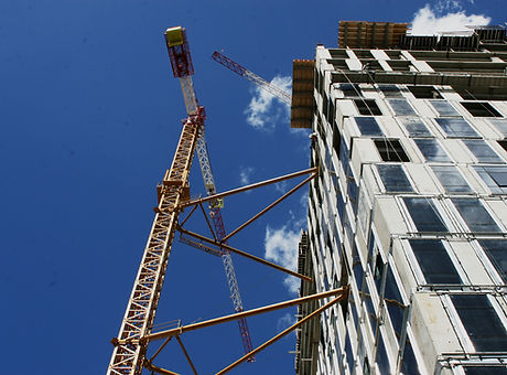 Crane Close Up 2