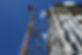 Crane Close Up 2