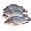 Miniature : Carpe gris blanc 300 gr -500 gr