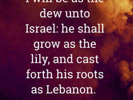 Thus Saith The Lord God Of Isreal!