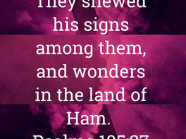 Thus Saith The Lord God OF David!