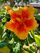 IMG_8284.HEIC
