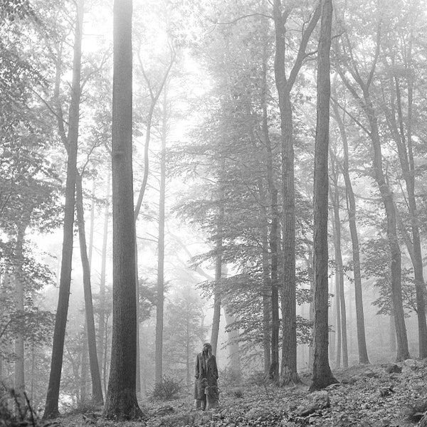 Album Review "folklore" and "evermore" Taylor Swift
