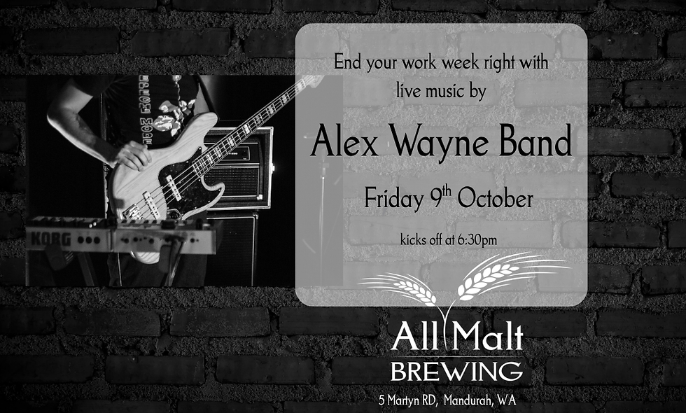 Alex Wayne Band