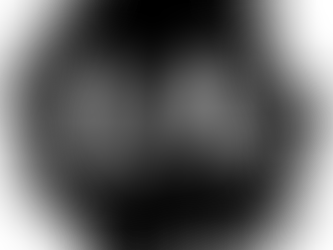 2/5 DIGITAL FILES