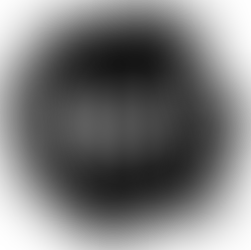 11/6 DIGITAL FILES