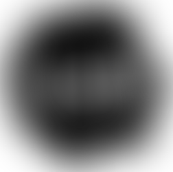 1/29 DIGITAL FILES