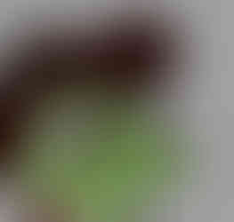 Character Design- Jasper Hopps