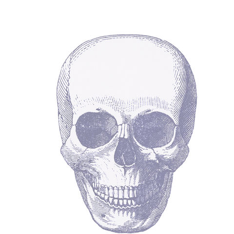 Re-Branding- Mütter Museum 