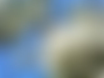 Весна, как много в этот слове..!