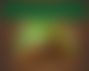 Listening Skills Part 3: Presentation to Kids