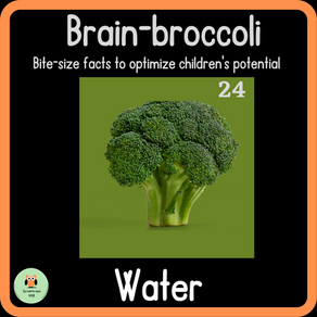                                  Brain-Broccoli 24: Water