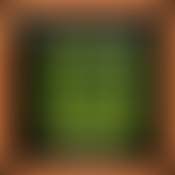 Brain-Broccoli 26: Music & Brain