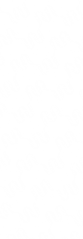 MBL CI-02-01.png