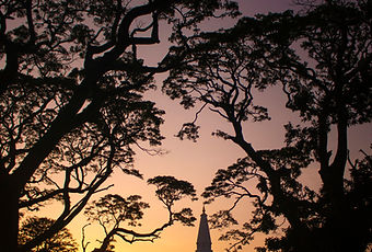 Dagoba di Ruvanvelisaya ad Anuradhapura al tramonto