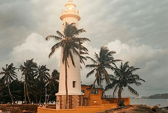 Faro di Galle tra le palme