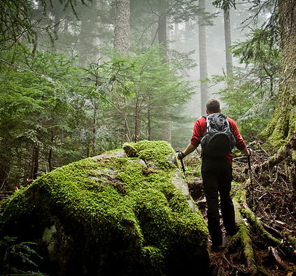 hiking.jpg
