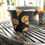 Thumbnail: drumstick cone 6" planter