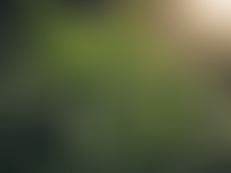 Unlock Your Cannabis Growing Potential with WackyGrow