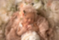 DSC_6845-Edit.jpg